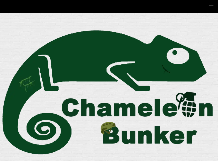 Website institucional do cliente chameleonbunker